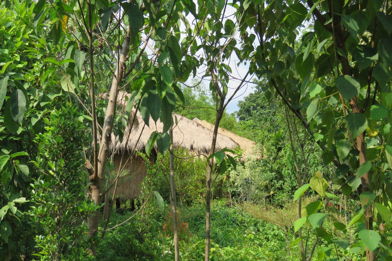 Rainbow Lodge Tatai Εξωτερικό φωτογραφία